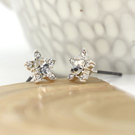 Silver Plated Star Flower Crystal Stud Earrings Silver Plated Star Flower Crystal Stud Earrings