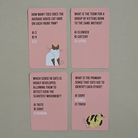 The Ultimate Cat Quiz