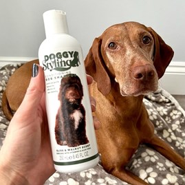 Conditioning Dog Shampoo Olive & Walnut Conditioning Dog Shampoo Olive & Walnut