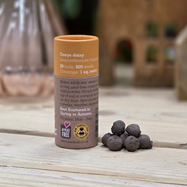 Wildflower Seed Balls in a Tube - Oxeye Daisy