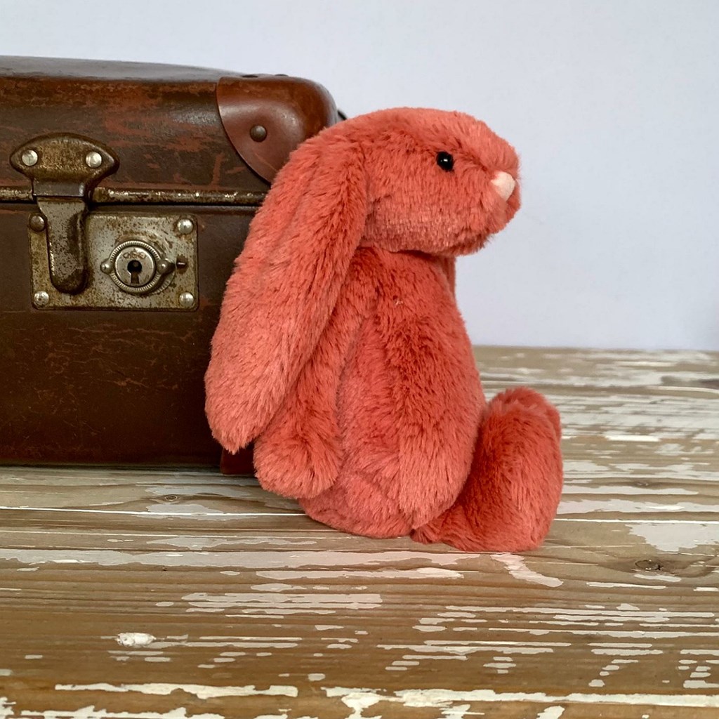 Facts about rabbits picture