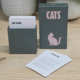 Information Cards Advice Cards Gifts for Cat Lovers Novelty Quirky Fun Cards