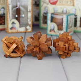 Three Classic Wooden Puzzles Based On Great Minds