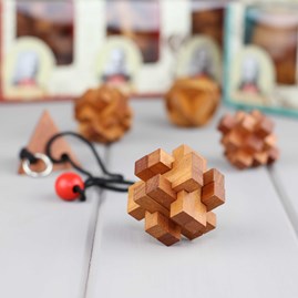 Set Of Five Puzzles Based On Great Minds Set Of Five Puzzles Based On Great Minds