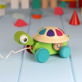 Zigolos Pull Along Turtle