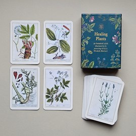 50 Healing Plants Botanical Cards 50 Healing Plants Botanical Cards