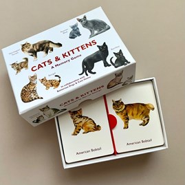 Cats And Kittens Memory Game