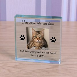 Sentiment Gifts Memorial Keepsake Gifts Animal Lover Gifts Pet Loss Gifts Glass Photo Token