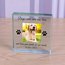 Sentiment Gifts Memorial Keepsake Gifts Animal Lover Gifts Pet Loss Gifts Glass Photo Token