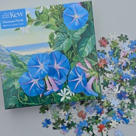 Family Fun Coastal Beach Scene Jigsaw Puzzle 1000 Pieces Gifts For Birthday Jigsaw Lovers Gifts