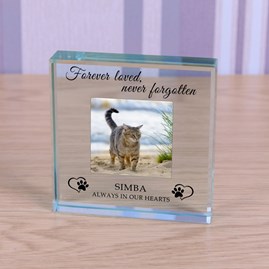 Personalised 'Forever Loved...' Pet Memory Photo Glass Token Sentiment Gifts Memorial Keepsake Gifts Animal Lover Gifts Pet Loss Gifts Glass Photo Token