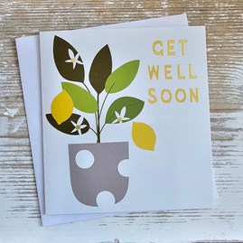 'Get Well Soon' Plant Card