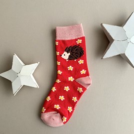 Girls Bamboo Hedgehogs & Daisies Socks in Red 4-6 Years Girls Bamboo Hedgehogs & Daisies Socks in Red 4-6 Years