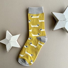 Girls Bamboo Sausage Dogs Socks in Yellow 7-9 Years