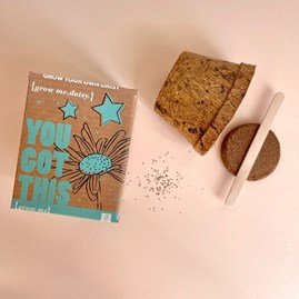 Grow Me You Got This Daisy Gift Box Grow Me You Got This Daisy Gift Box