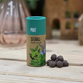 Herb Seed Balls in a Tube - Mint Garden Seed Balls Gifts For Gardeners Mother's Day Gifts Grow Your Own Herb Gifts Scatter Seeds