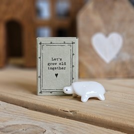 Matchbox Tortoise 'Let's Grow Old Together' Home Decorations Homeware Gifts Sentiment Keepsake Gift Porcelain Gift Matchbox Tortoise