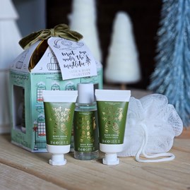 Christmas Gifts Christmas Toiletries Health And Beauty Gifts Christmas Gifts For Women