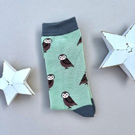 Men's Bamboo Cute Owls Socks in Mint Green