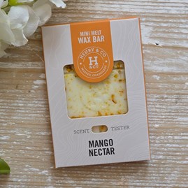 Vegan Friendly Scented Wax Melts Home Fragrance New Home Gifts Henry & Co