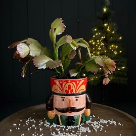 Nutcracker Planter with Red Hat