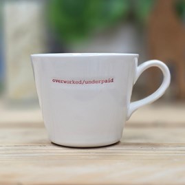 'Overworked/Underpaid' Mug
