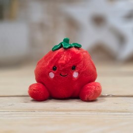 Collectable Palm Pals Cute Cuddly Soft Toy Plush Beanie New Baby Gift Birthday Gifts Boyd Tomato