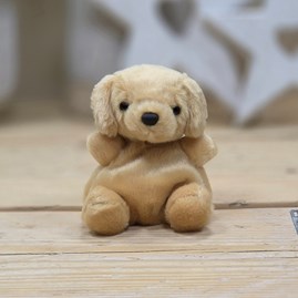 Collectable Palm Pals Cute Cuddly Soft Toy Plush Beanie New Baby Gift Birthday Gifts Sunny Labrador