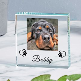Personalised Pet Name And Photo Glass Token Personalised Pet Name Glass Token Gifts For Dog Lovers Gifts For Cat Lovers Keepsake Gifts