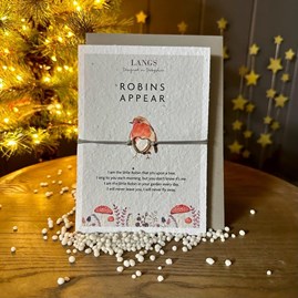 'Robins Appear' Wish Bracelet Wildflower Seed Card Wish Bracelet on Seeded Card Robins Appear Garden Gifts Sentiment Jewellery