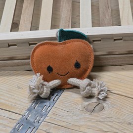 Sancho the Satsuma Dog Toy Biodegradable Eco Friendly Fun Novelty Dog Toy