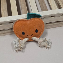 Biodegradable Eco Friendly Fun Novelty Dog Toy