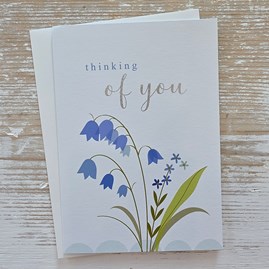 'Thinking Of You' Blue Flower Card Sympathy Get Well Soon Greetings Card