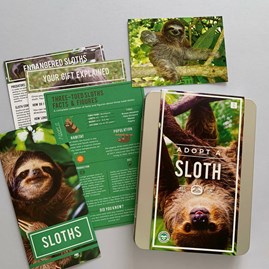 Adopt a Sloth Gift Tin