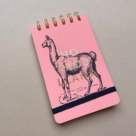 Vintage Sass Twin Wire Notepad - No Prob Llama