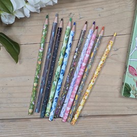 'Wanderlust and Wildflowers' Set of 10 Coloured Pencils Wanderlust and Wildflowers Set of 10 Coloured Pencils Beautiful Floral Design