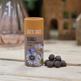 Wildflower Seed Balls in a Tube - Oxeye Daisy Garden Seed Balls Gifts For Gardeners Mother's Day Gifts Grow Your Own Wildflower Gifts Scatter Seed