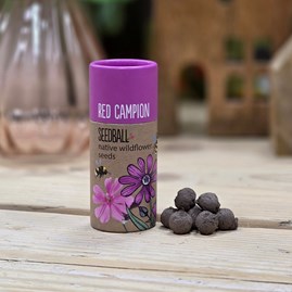 Wildflower Seed Balls in a Tube - Red Campion Garden Seed Balls Gifts For Gardeners Mother's Day Gifts Grow Your Own Wildflower Gifts Scatter Seed