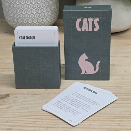 100 Become an Expert in Cats Cards Information Cards Advice Cards Gifts for Cat Lovers Novelty Quirky Fun Cards