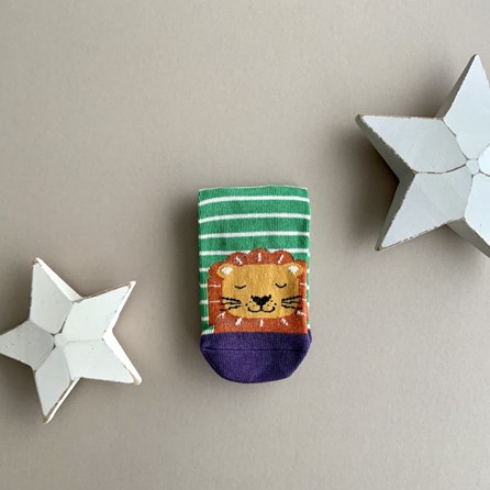 Boys Bamboo Lions Socks in Green 2-3 Years Boys Bamboo Lions Socks in Green 2-3 Years