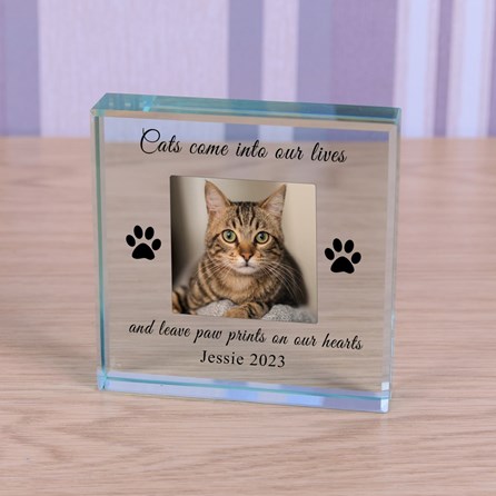 Personalised 'Cats Come Into Our Lives...' Memory Photo Glass Token Sentiment Gifts Memorial Keepsake Gifts Animal Lover Gifts Pet Loss Gifts Glass Photo Token