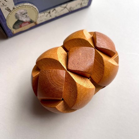 Darwin's Egg of Evolution Wooden Puzzle Darwin's Egg of Evolution Wooden Puzzle