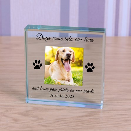 Personalised 'Dogs Come Into Our Lives...' Memory Photo Glass Token Sentiment Gifts Memorial Keepsake Gifts Animal Lover Gifts Pet Loss Gifts Glass Photo Token