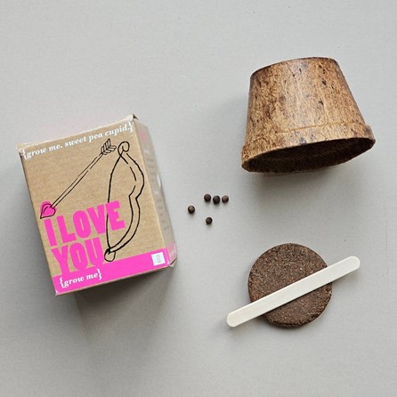 Grow Me 'I Love You' Sweet Pea Gift Box Grow Me 'I Love You' Sweet Pea Gift Box