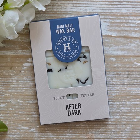 Mini Wax Melt Bar - After Dark Vegan Friendly Scented Wax Melts Home Fragrance New Home Gifts Henry & Co