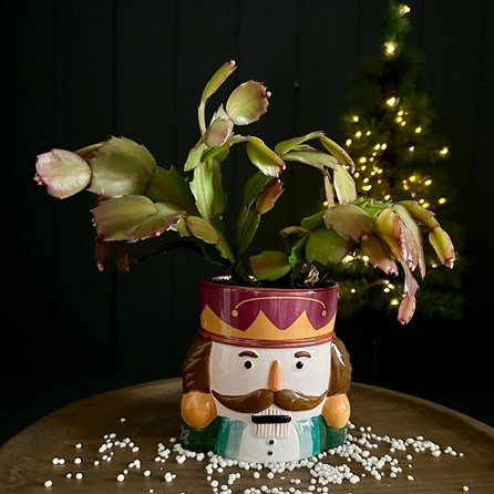 Nutcracker Planter with Purple Hat Nutcracker Planter with Purple Hat