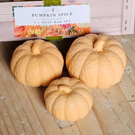 Pumpkin Spice 3pc Pumpkin Soap Bar Set Halloween Gifts Halloween Toiletry Gifts Novelty Scented Bars Of Soap Halloween Pumpkins