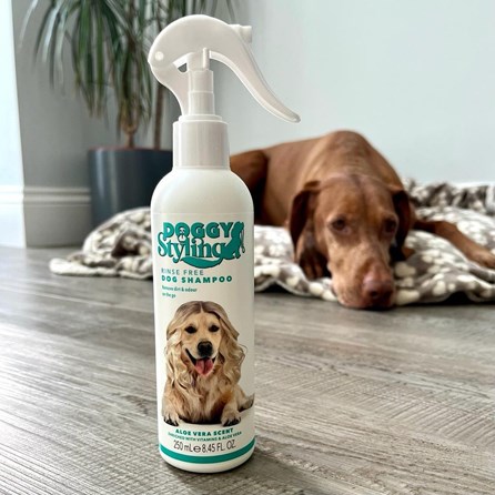 Rinse Free Dog Shampoo Aloe Vera Rinse Free Dog Shampoo Aloe Vera