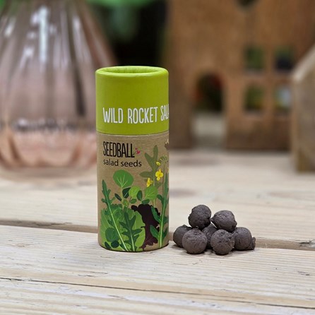 Salad Seed Balls in a Tube - Wild Rocket Garden Seed Balls Gifts For Gardeners Mother's Day Gifts Grow Your Own Salad Gifts Scatter Seeds