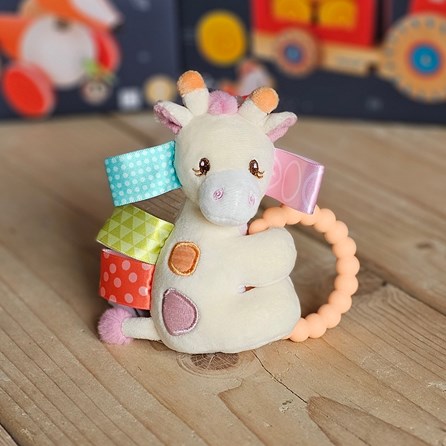 Taggies Tilly Giraffe Teether Rattle New Baby Gifts Newborn Baby Gifts Soft Cuddly Toys Giraffe Teething Ring Taggie